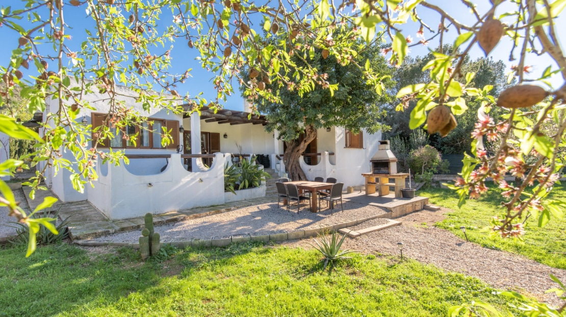 5517 - Finca in Calvia 6