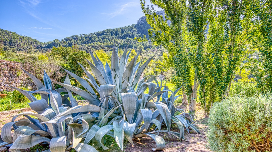 4938 Country house on large plot near Esporles with pool and stunning mountain views 2