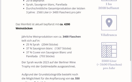 WhatsApp Bild 2025-10-31 um 15.01.11_74b89557