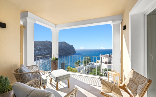 5582 -Villa in Port Andratx 2