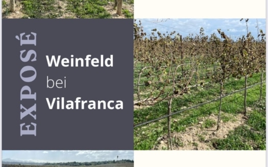 WhatsApp Bild 2025-10-31 um 15.01.11_ac9f4ee4