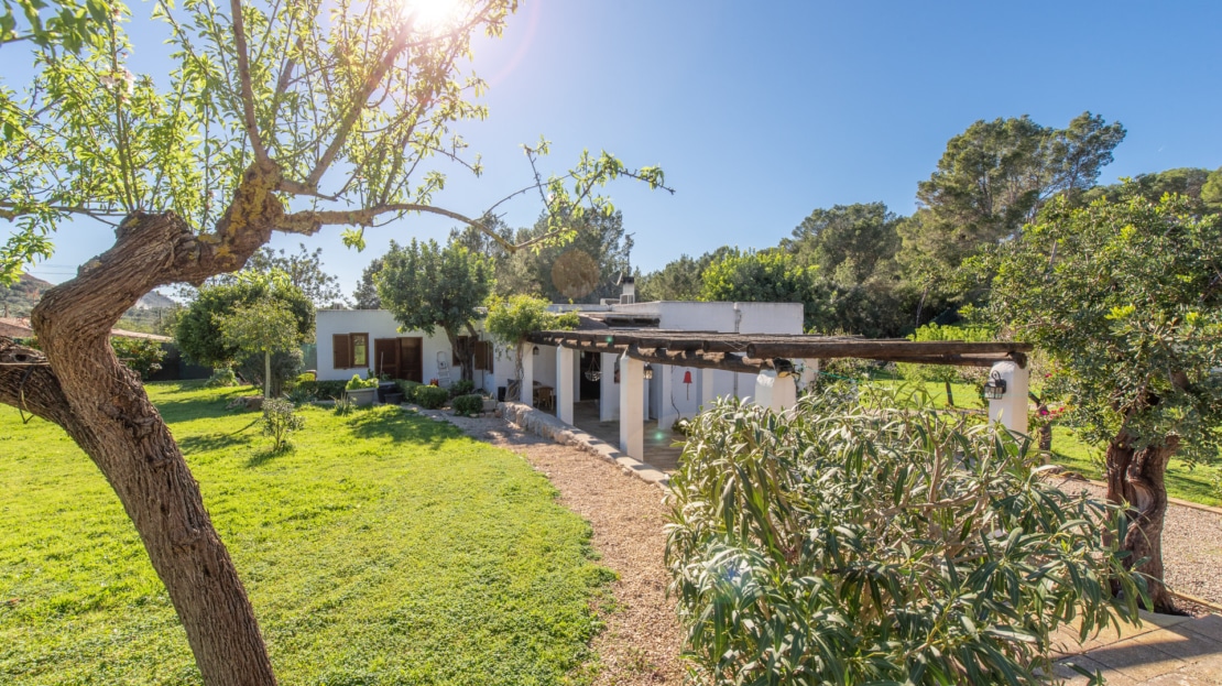 5517 - Finca in Calvia 2