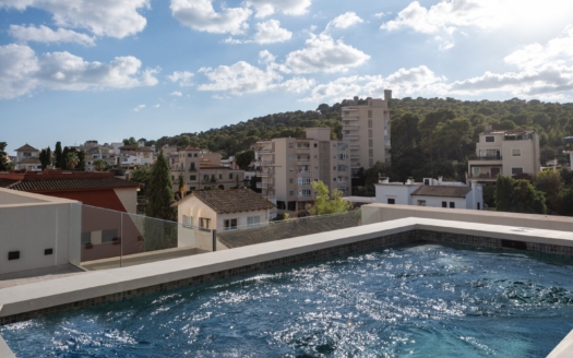 P-2952_7 Exklusives Penthouse in Palma, Son Armadams, mit Dachterrasse und privatem Pool  13