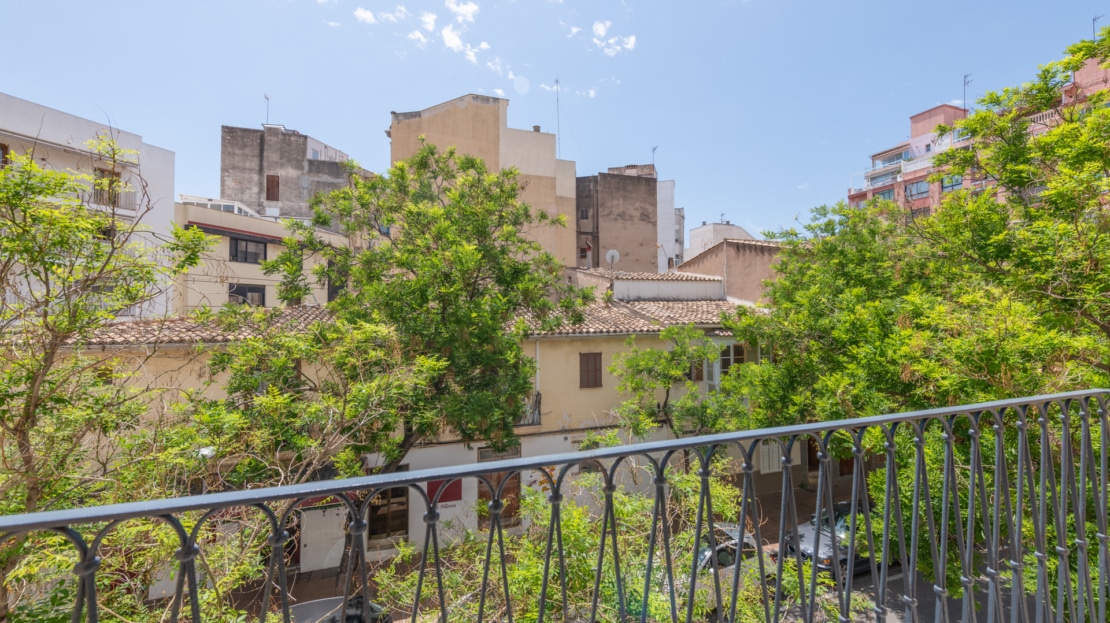 3195 - Loft in Santa Catalina 5
