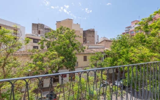 3195 - Loft in Santa Catalina 5