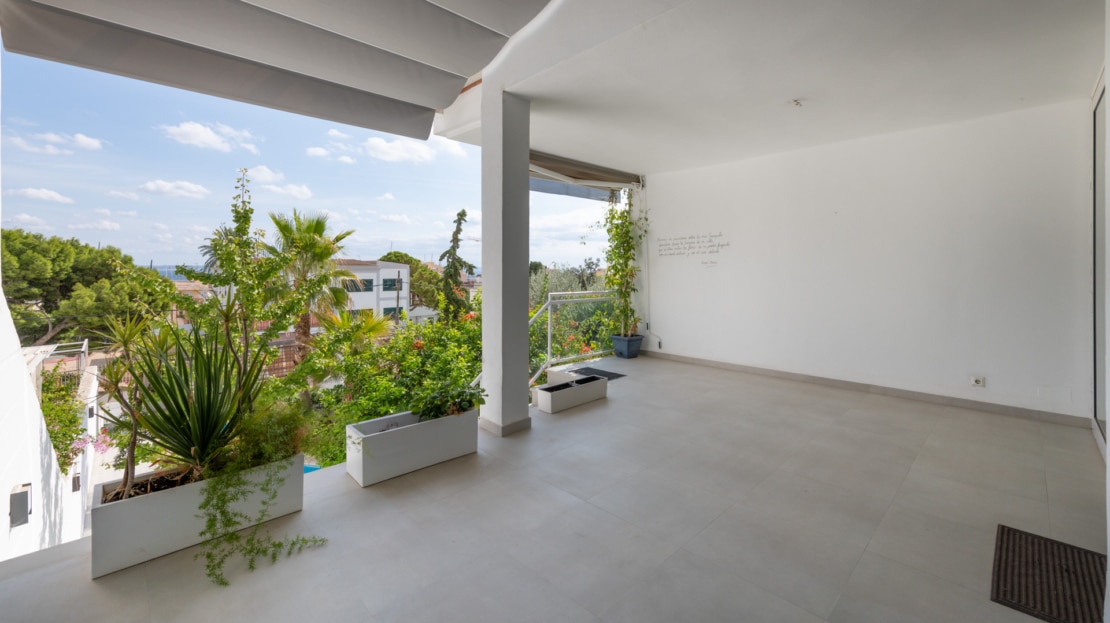 5444 - Stadthaus in El Terreno - Palma 5
