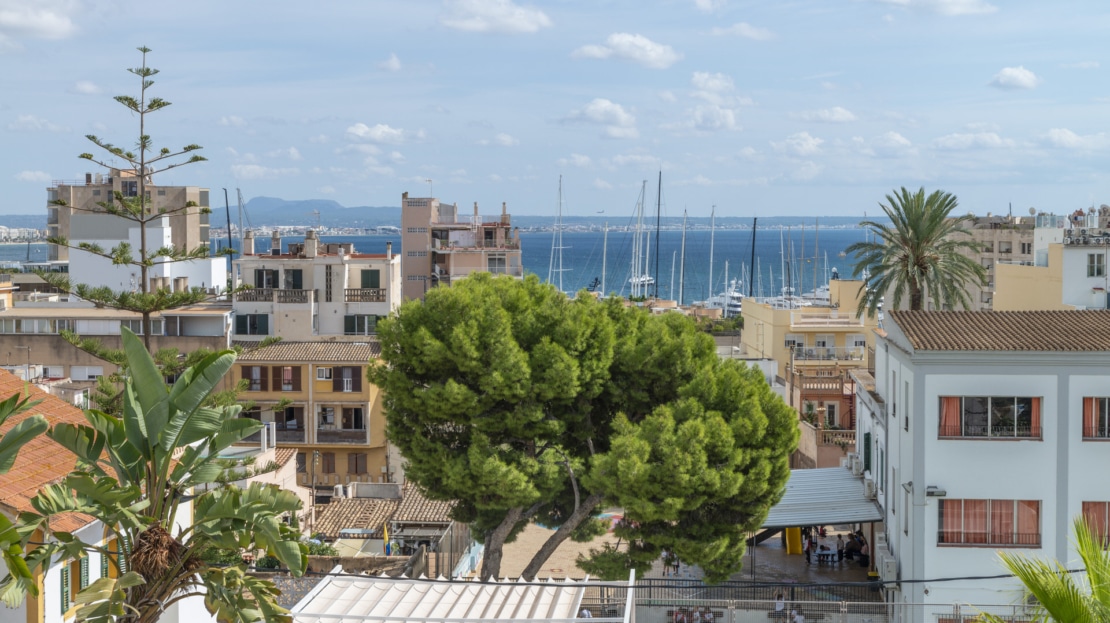 5444 - Stadthaus in El Terreno - Palma 25