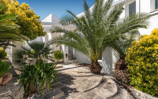 5668  -Villa in Sanjarassa 44