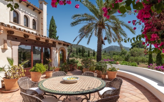 5507  -Villa in Port Andratx 6