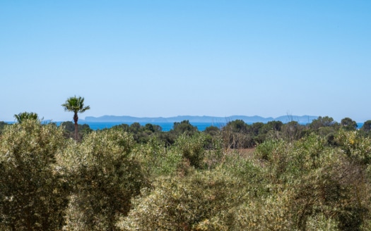 4730  -Villa in Sa Rapita14