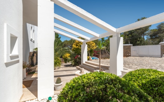 5668  -Villa in Sanjarassa 43